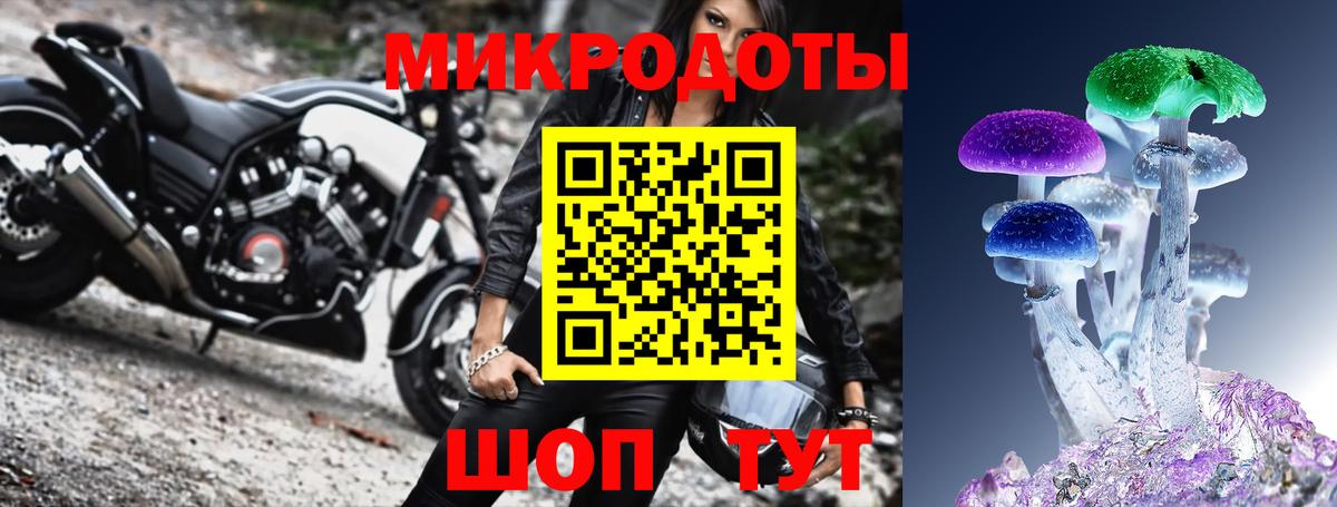 Галлюциногенные грибы мицелий Сланцы