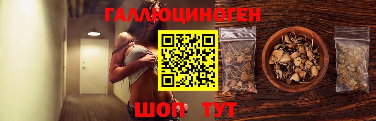 Сланцы  Псилоцибиновые грибы Cubensis  Псилоцибиновые грибы мицелий  Вход с VPN 