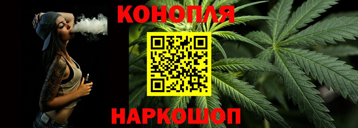 Бошки Шишки планчик Сланцы