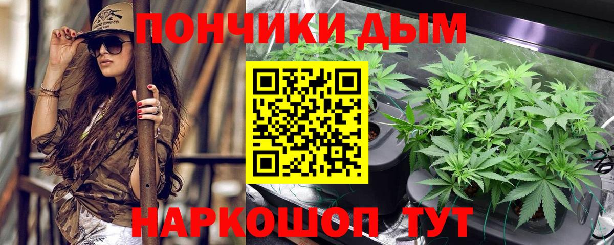 Сланцы  Бошки марихуана сатива  Бошки марихуана MAZAR  Вход с VPN  Бошки марихуана ГИДРОПОН 
